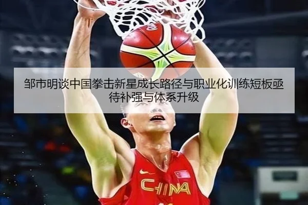 邹市明谈中国拳击新星成长路径与职业化训练短板亟待补强与体系升级 - YAXING