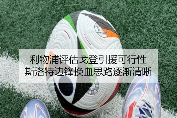 利物浦评估戈登引援可行性 斯洛特边锋换血思路逐渐清晰 - YAXING